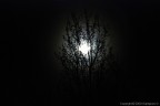 Controluce