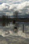 l cielo riflesso