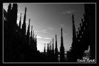Ieri complice la bella giornata siamo andati a guardare Milano dall'alto, sul tetto del Duomo.

Avanti con le critiche.

Ciao 
Roberto
www.robelli.net