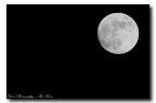The Moon light...