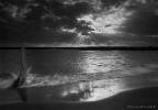 Rays of nature