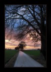 La via del tramonto