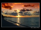 Alba