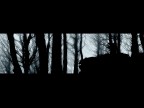 Silent Forest
