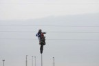 Free Style