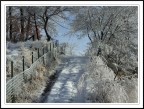 Paesaggio invernale