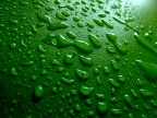 Siamo al verde...