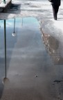 riflessi