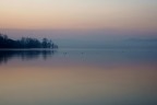 alba