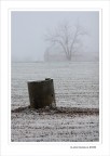 L'albero e il pozzo...