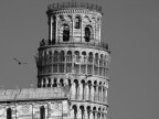 Molti molti suggerimenti
grazie