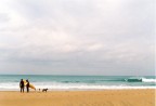 Surftrip Trollandia