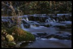 Scorcio di un torrente
