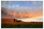Sky colors