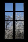 la finestra sul giardino