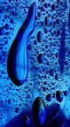 Welcome to blue Welcome to blue