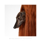 Sliding Doors Sliding Doors