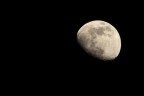 300mm
f/9
1/60
iso100

Suggerimenti su migliorie per un "must" come questo?....