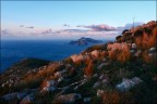 capri