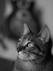 La mia Tina, modella per i primii esperimenti con il 50mm OM.