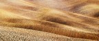 crete senesi