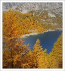 giallo ocra