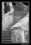 STEPS
