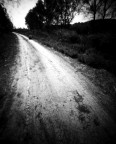 lungo la via