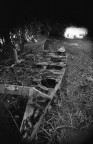 Reportage [1]
