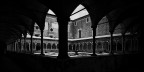 Buonasera a tutti.

Posto qu la mia prima foto. Sono chiaramente graditissimi commenti,critiche e suggerimenti.

Saluti.