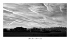 Paesaggi Toscani in B/W