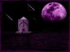 Violet Nocturn