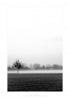 lo so c' un ramo di un'altro albero che entra nella foto provveder a timbrarlo
XD
commenti e critiche pi che ben accette