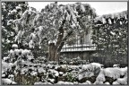 Hdr Ulivo!!!