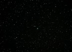 Nuova elaborazione della cometa appena visibile in questi giorni.