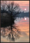 a volte il cielo  rosa....a volte