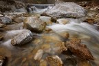 ...TORRENTE...