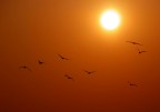 to the sun