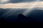 Luce
