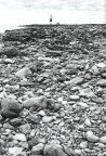 Giugno 2004