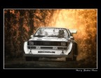 Audi S1