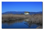 l'osservatorio...
