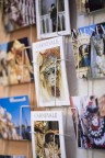 Venezia  Carnevale?