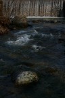 Nel fiume. . . .