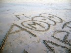 16 270209  AMORE ... PASSEGGERO