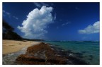 Playa Maguana