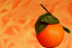 Arancio Arancio
