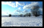 Paesaggio invernale