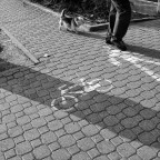 IMG_4633