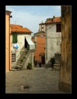 La grazia spontanea delle cose semplici